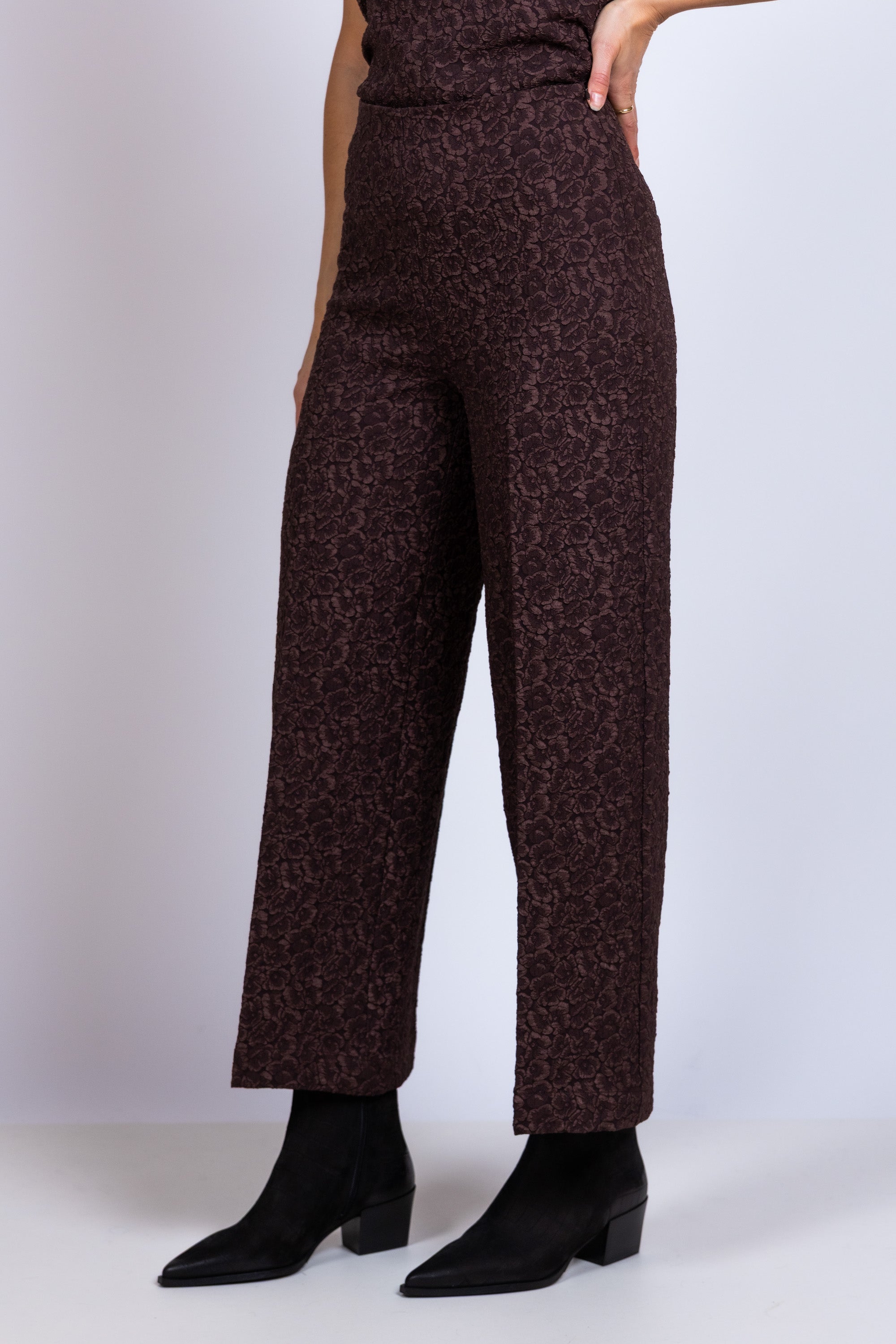 Broek met jacquard - Bruin
