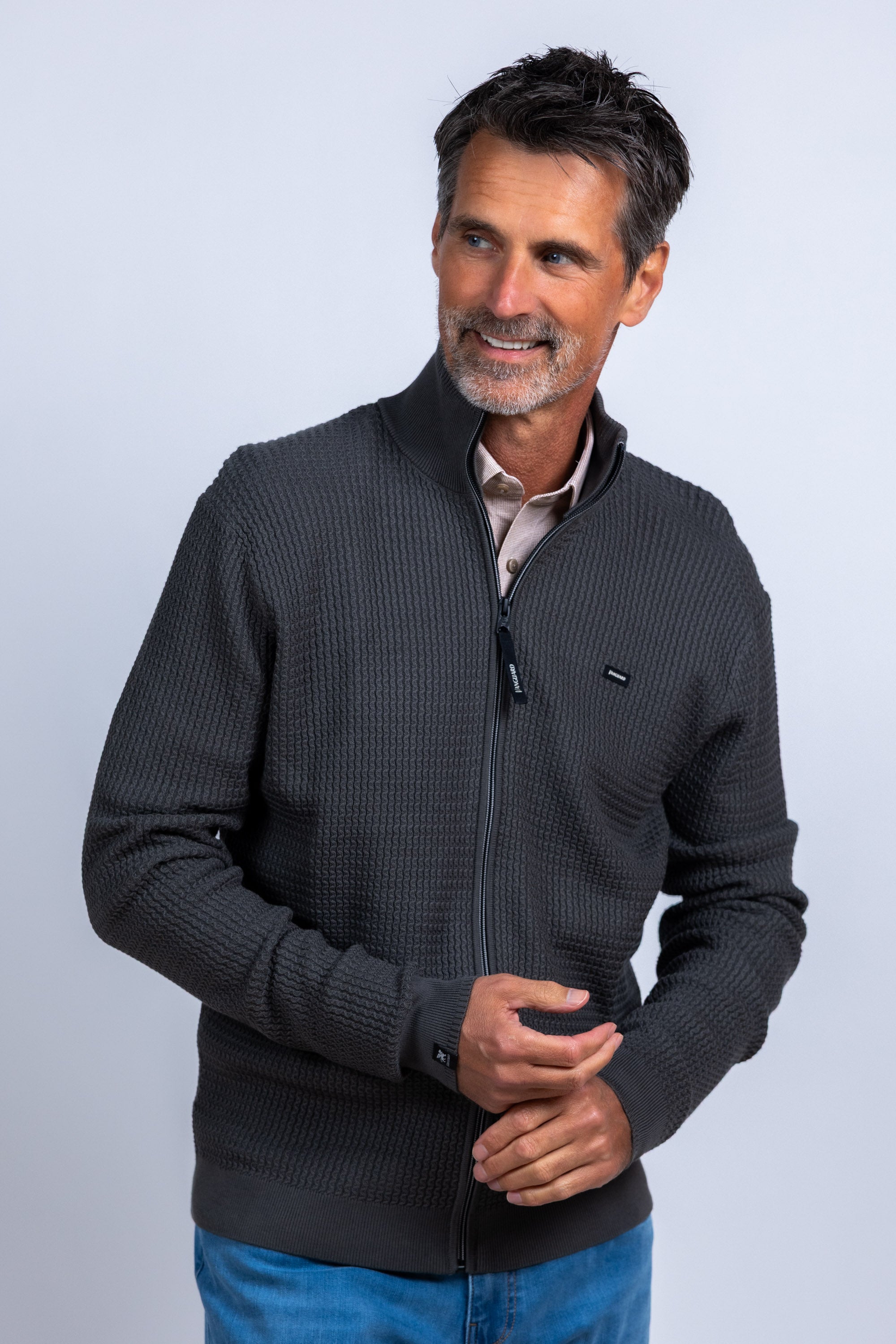 Vest met rits - Grijs/groen