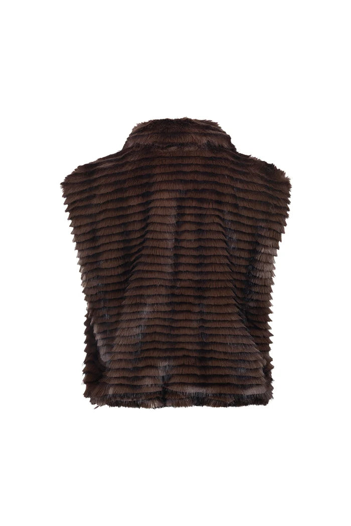 NUKUS NUKUS NKF08039 bruin