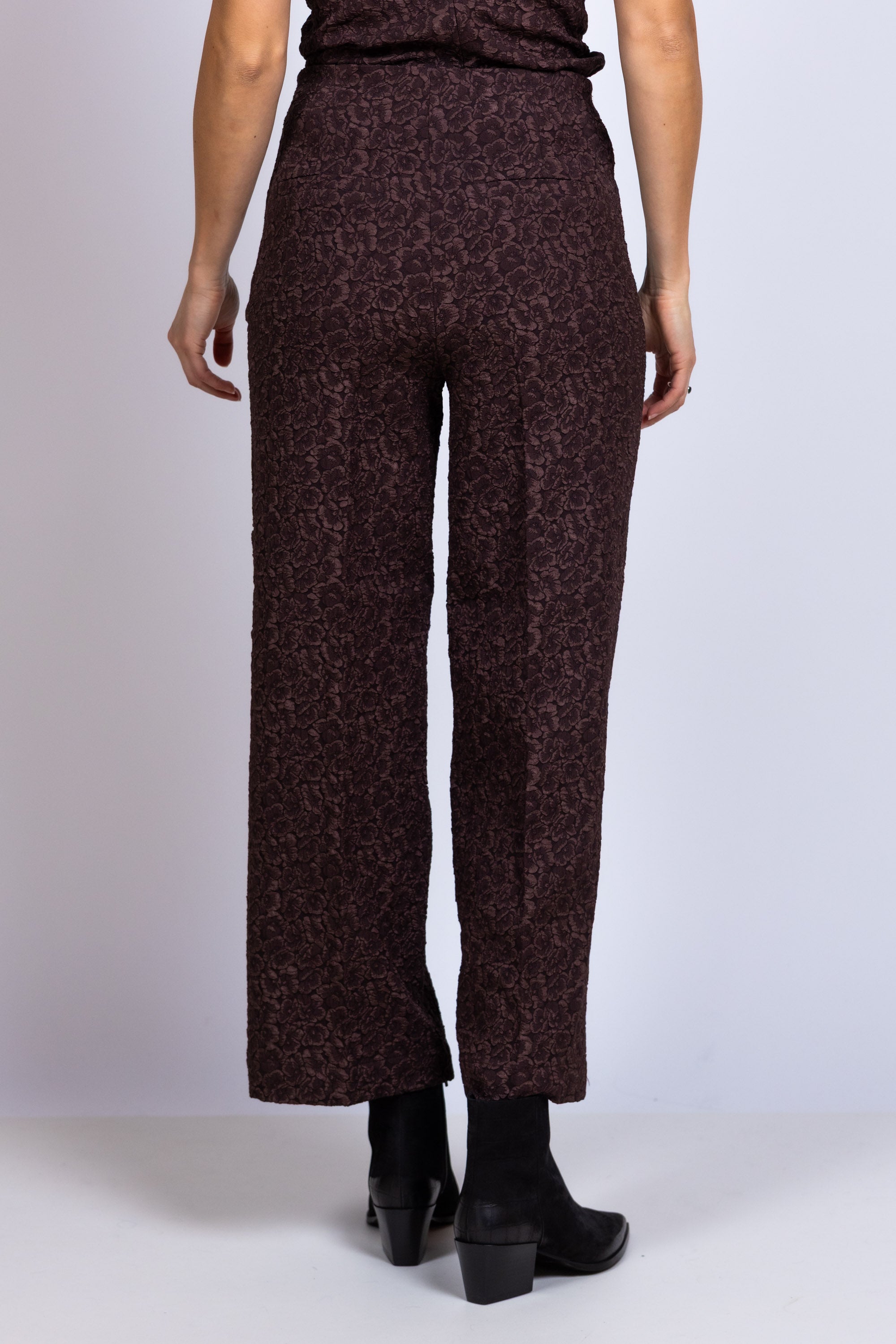 Broek met jacquard - Bruin